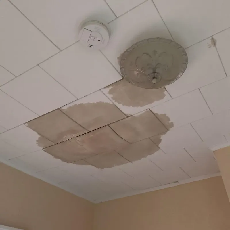 Ceiling Water Damage Repair in Plainview, NY